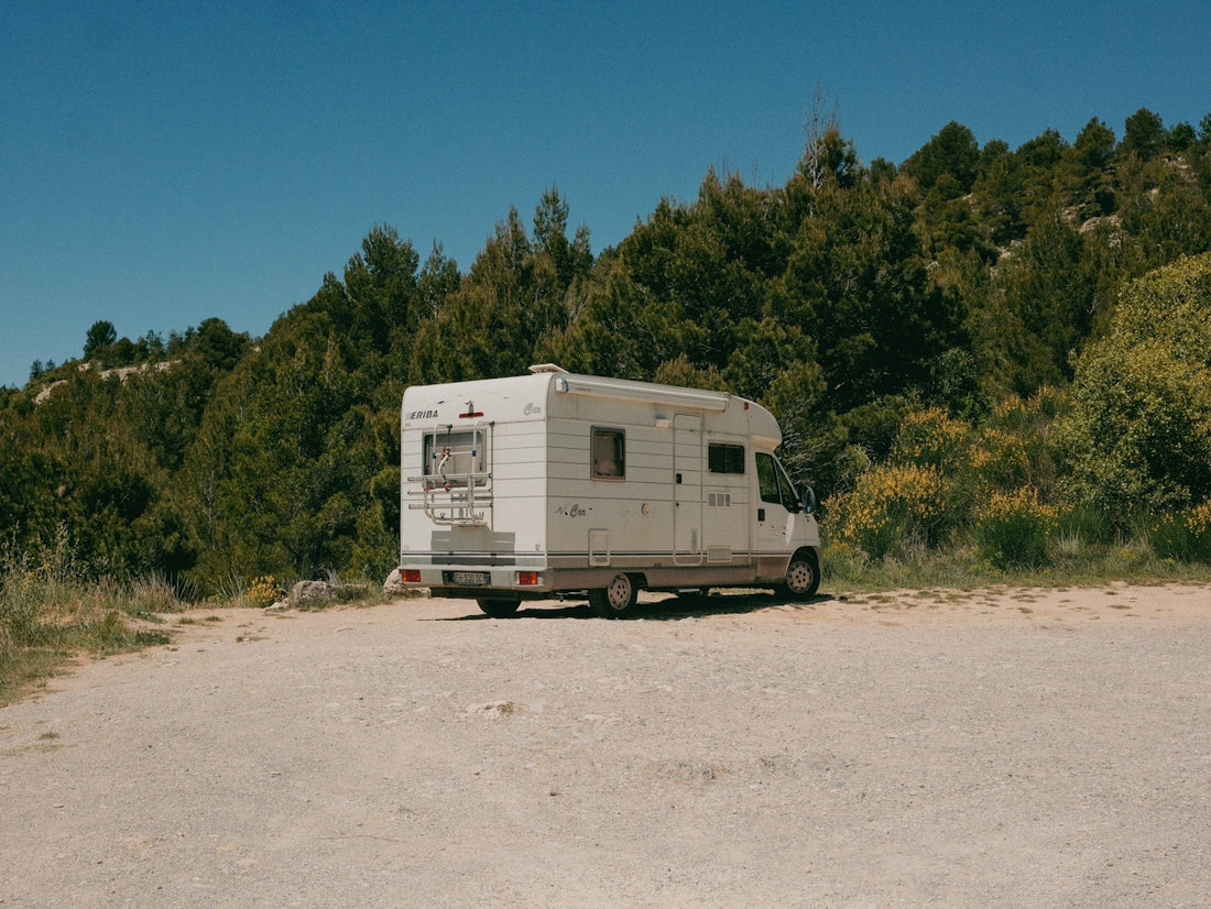 White camper van parked on dirt road with green trees